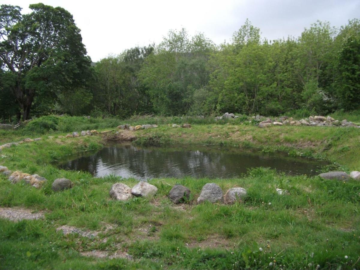 Cosy Ground Floor Disabled Friendly Room In Farm House Llandderfel Εξωτερικό φωτογραφία